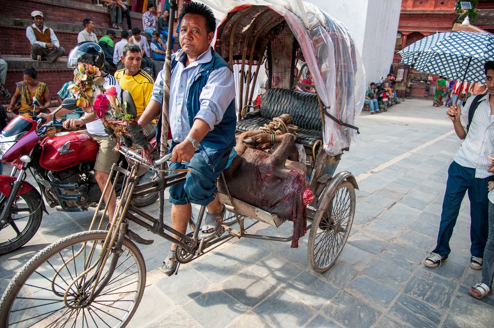 Photograph by  HITTHEROAD