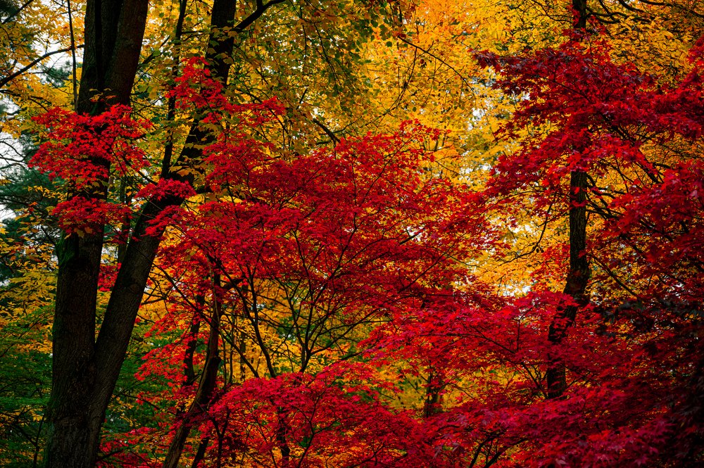 Photograph by Agnieszka Szadowiak