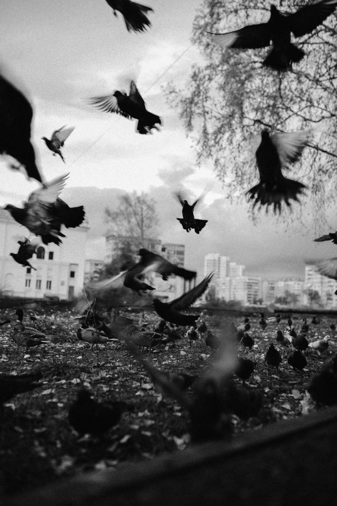 Photograph by Anna Mitichkina