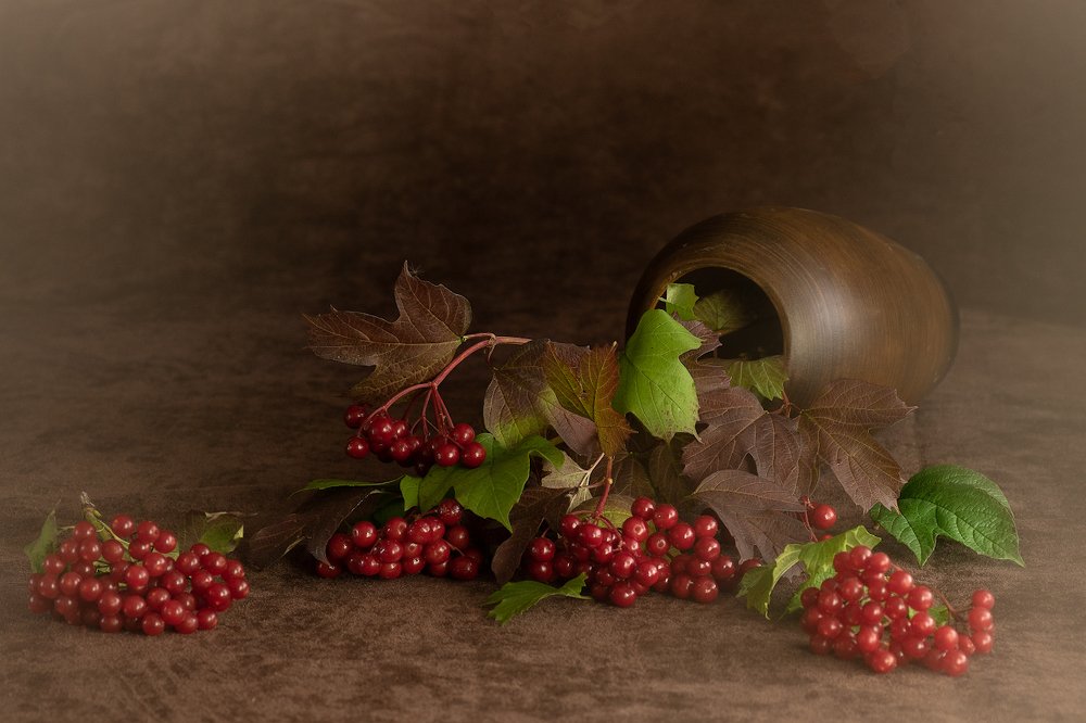 Photograph by Светлана Давыдова