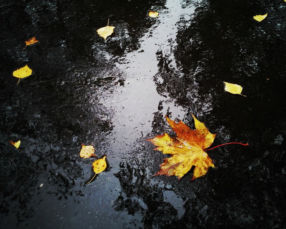 Photograph by Сергей Шляга