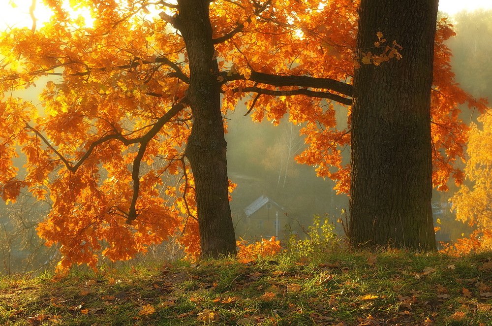 Photograph by Сергей Шляга