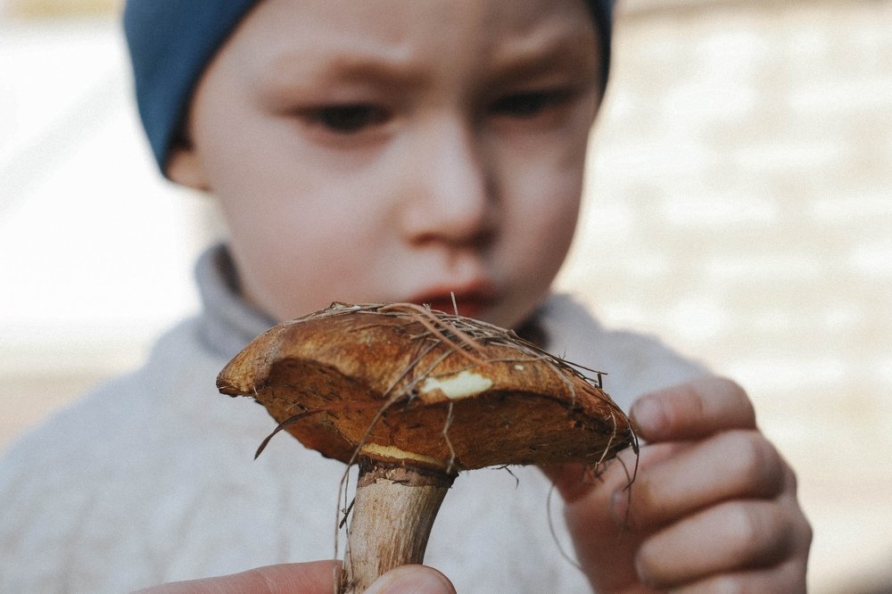 Photograph by Анастасия Чепурнова