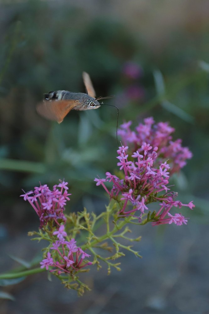 Photograph by Дмитрий Чудинин