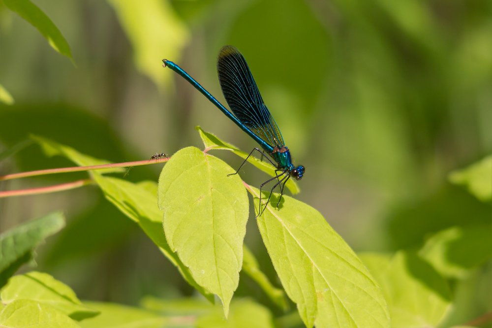 Photograph by Дмитрий Чудинин