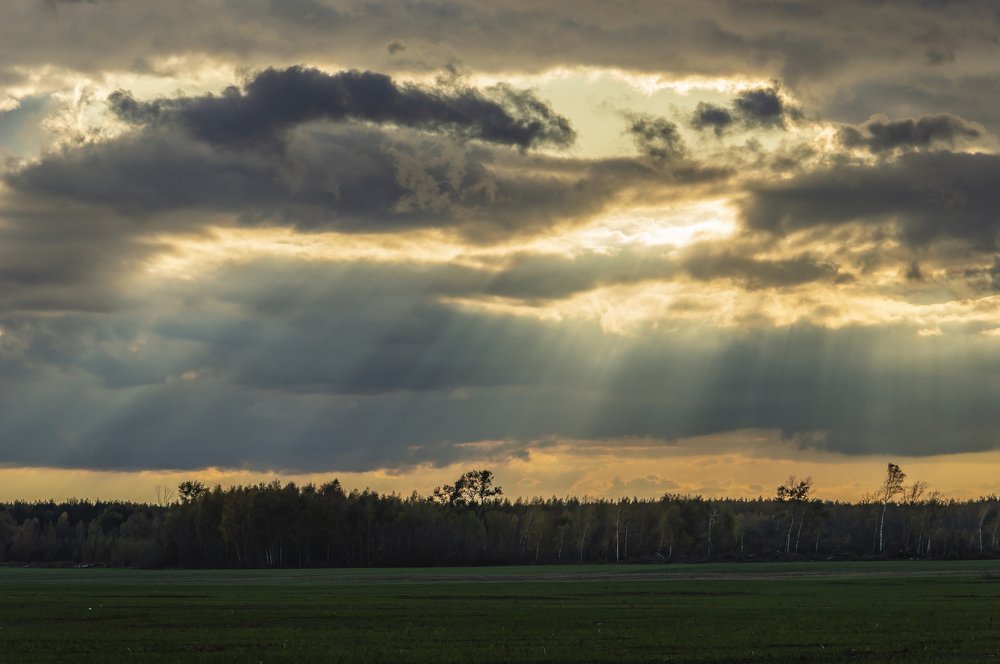 Photograph by Александр Щербаков