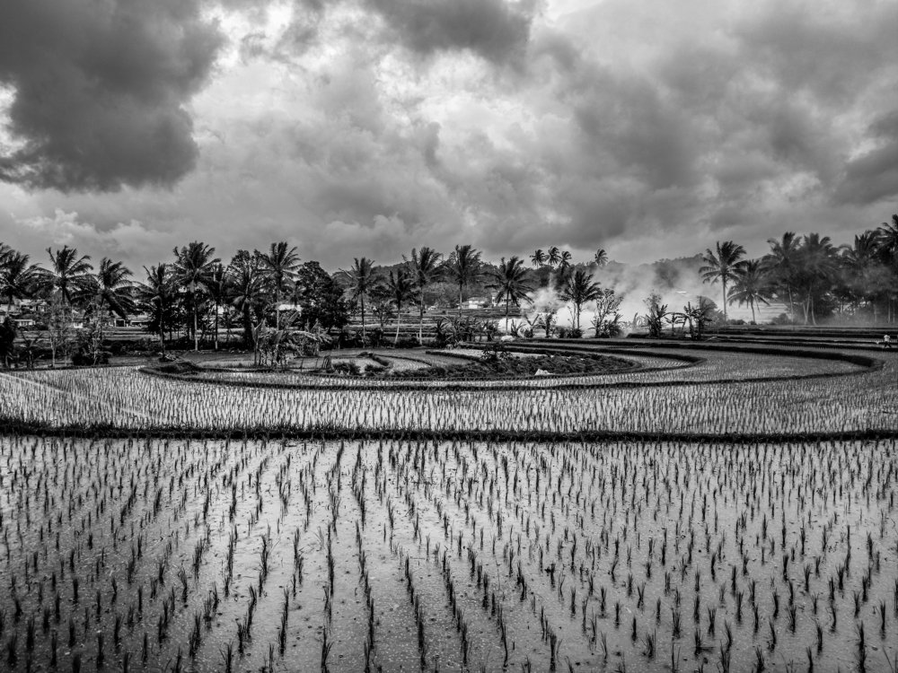 Photograph by Albert Maramis