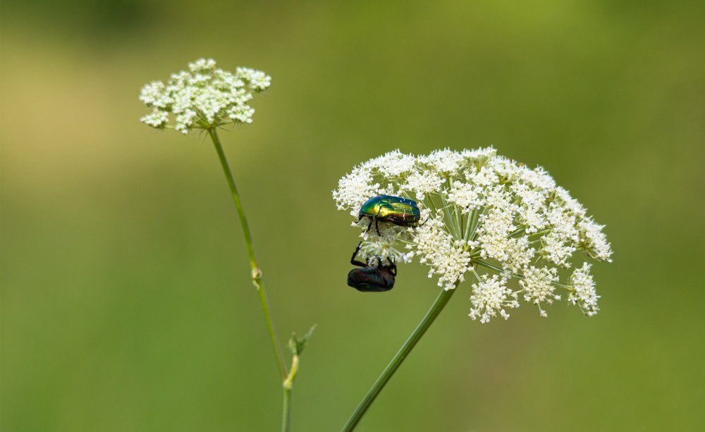Photograph by Дмитрий Чудинин