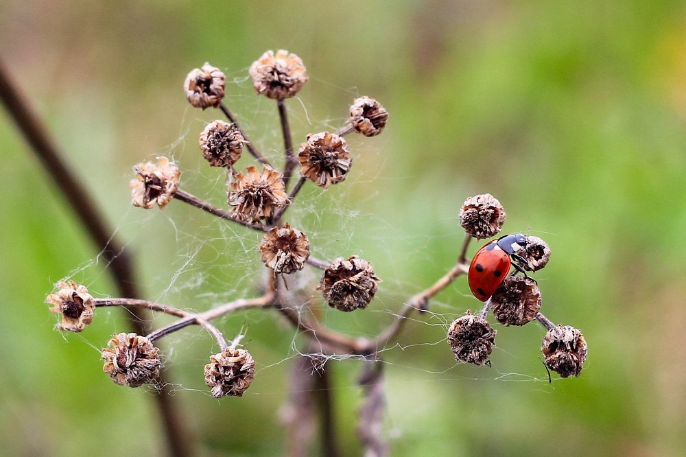 Photograph by Дмитрий Чудинин