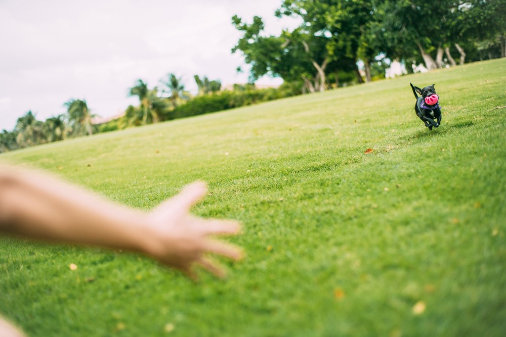 Photograph by Анна Куманцова