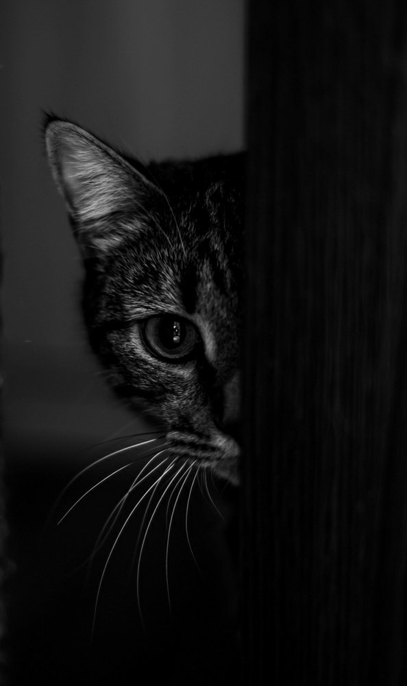 Photograph by Виктория Романенко