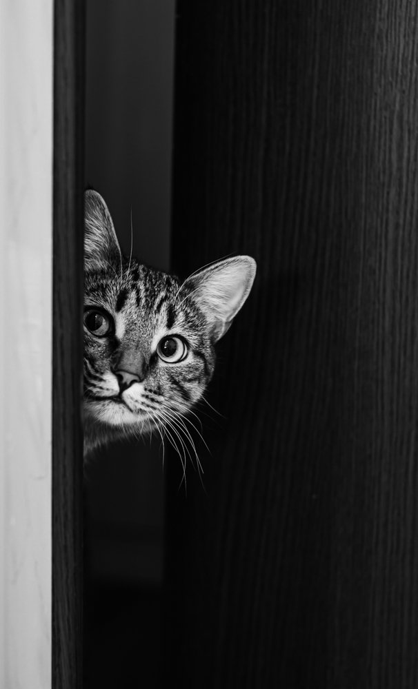 Photograph by Виктория Романенко