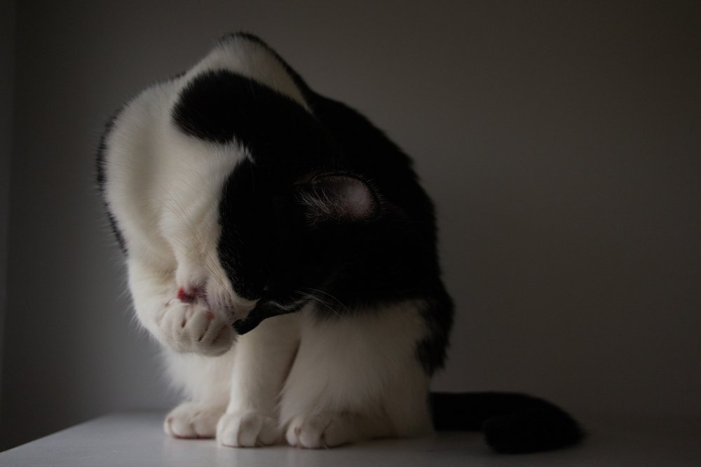 Photograph by Ксения Глубокова