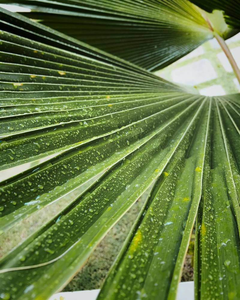 Photograph by Анна Куманцова