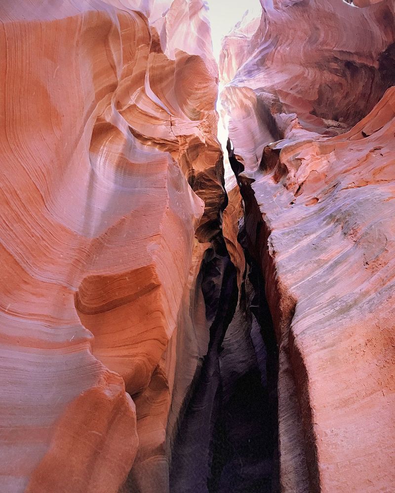 Photograph by Анна Куманцова