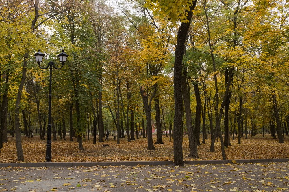 Photograph by Башлаев Константин