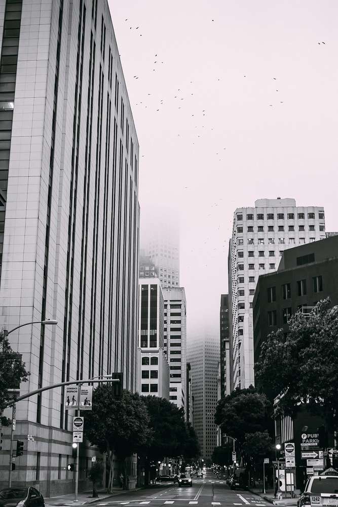 Photograph by Анна Куманцова