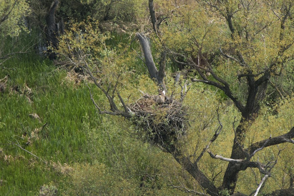 Photograph by Predrag Kostin