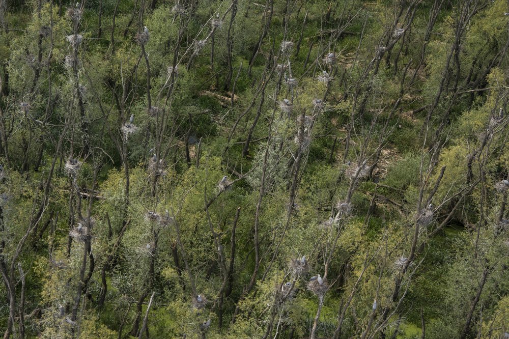 Photograph by Predrag Kostin