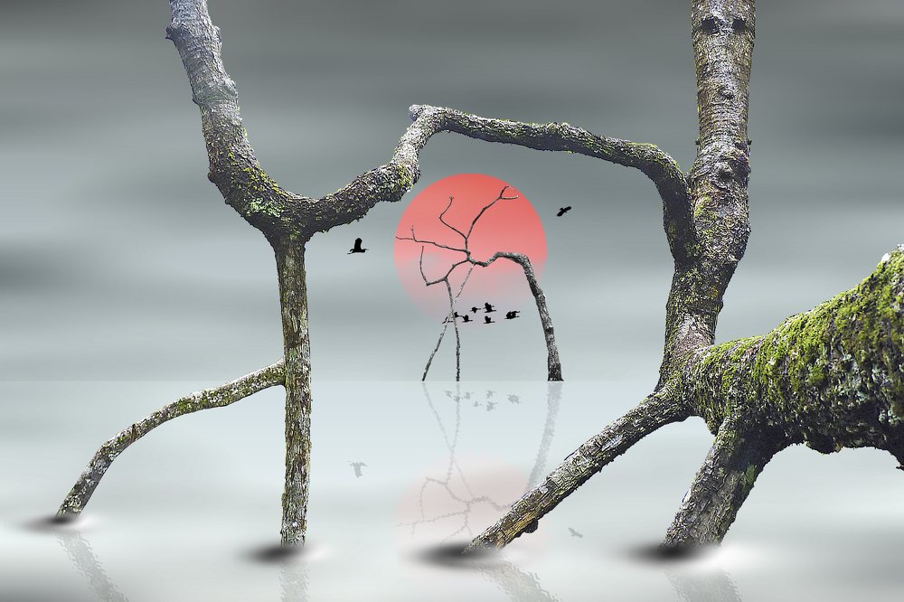 Life Under The Dancing Trees