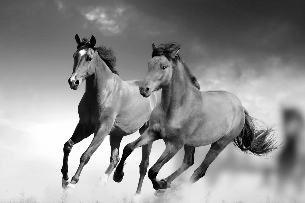 Photograph by Razgulyaev Aleksandr