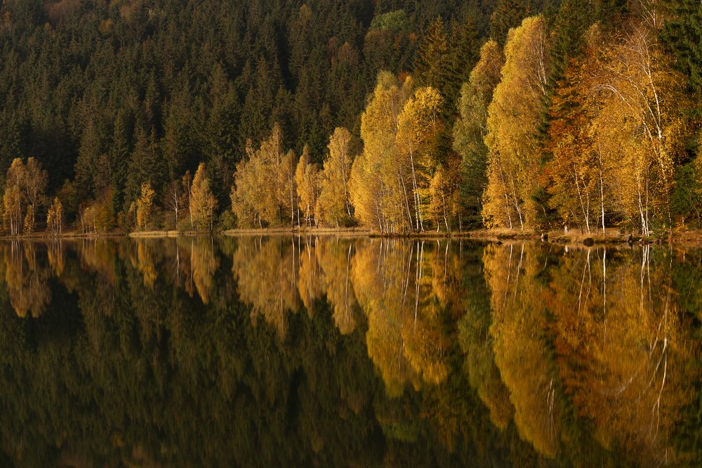 Photograph by Varga Zoltan