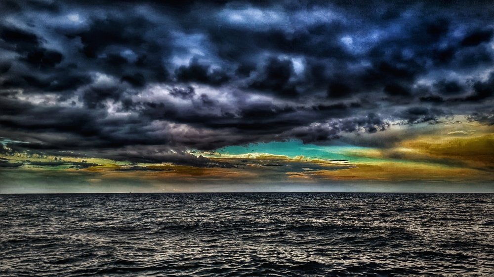 Photo #5179159