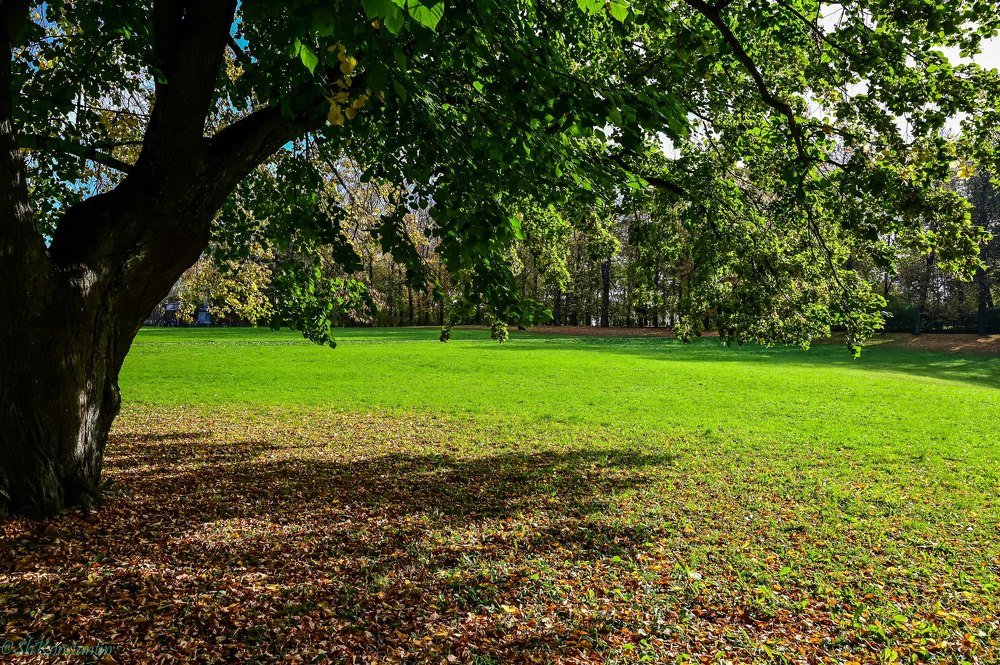 Photograph by Константин