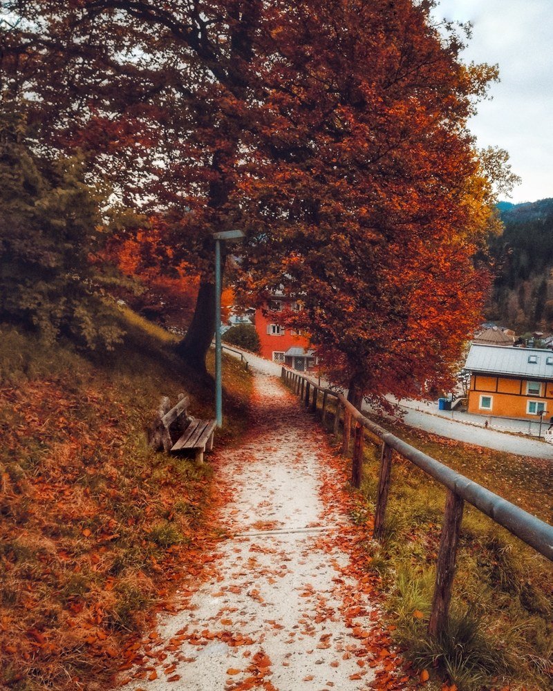 Осень в Баварии