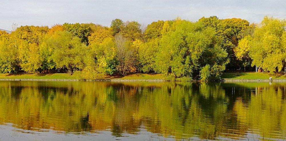Золотая осень.