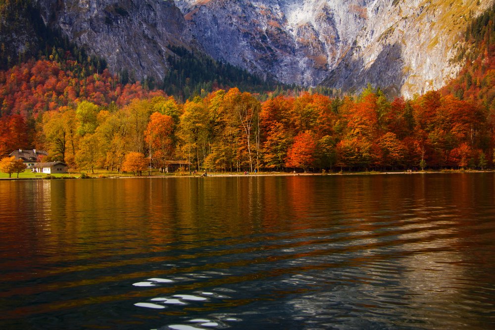 Photograph by Надежда Никитина