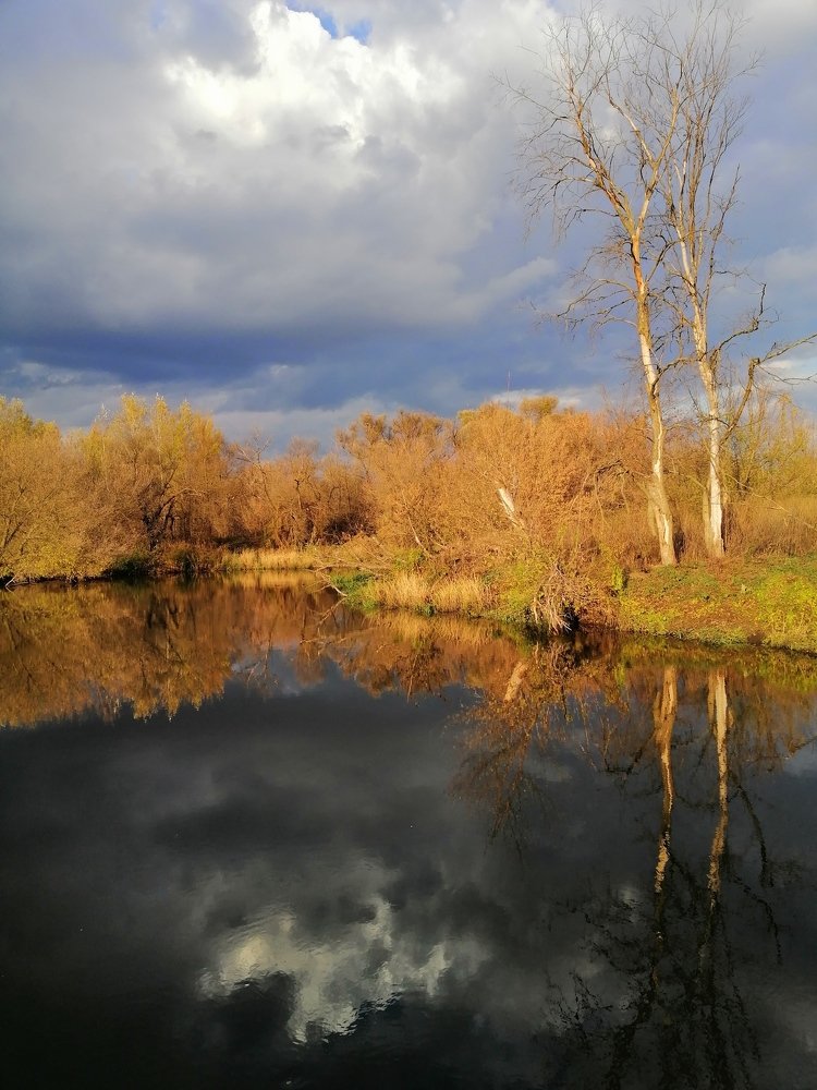Photo #5179395