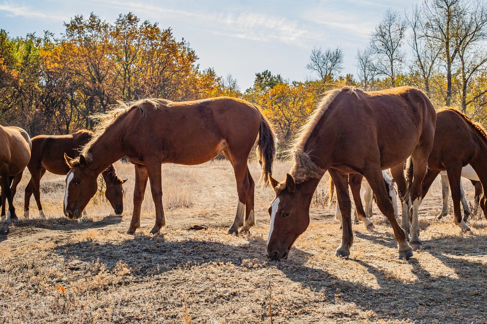 Photograph by Роман Васильев