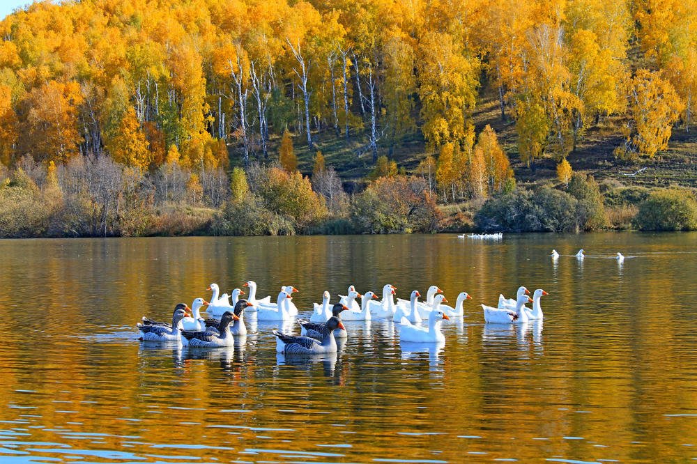 Photograph by Татьяна Перегудова