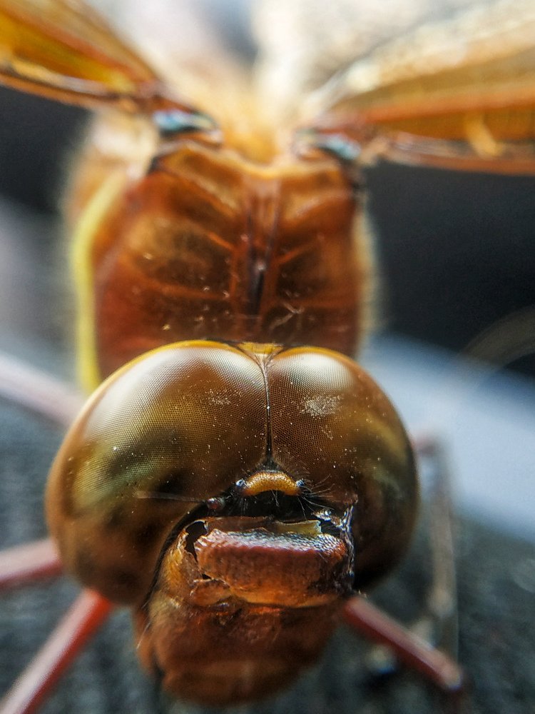 Photograph by Яна Прокофьева