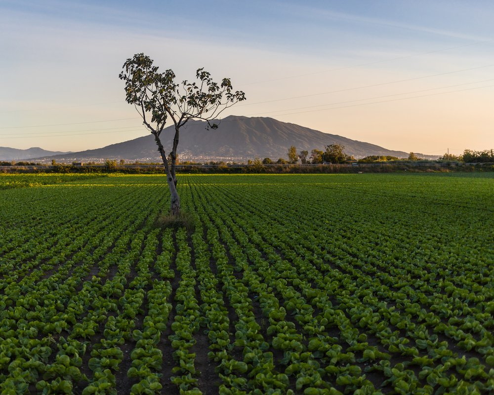 Photograph by Елизавета Калинина