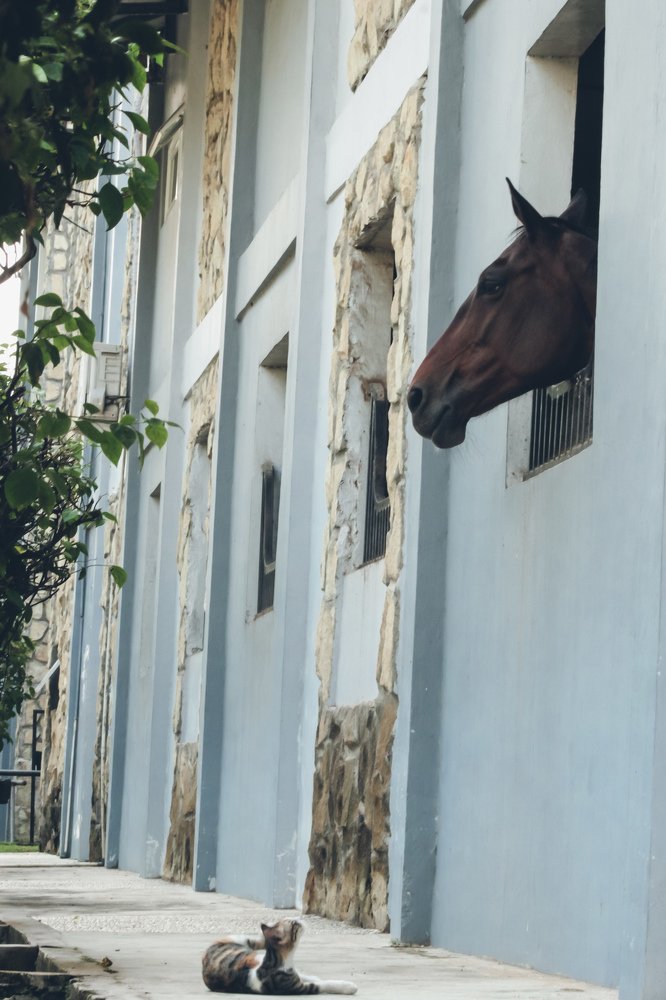 Фотография автора Firmansyah Angga