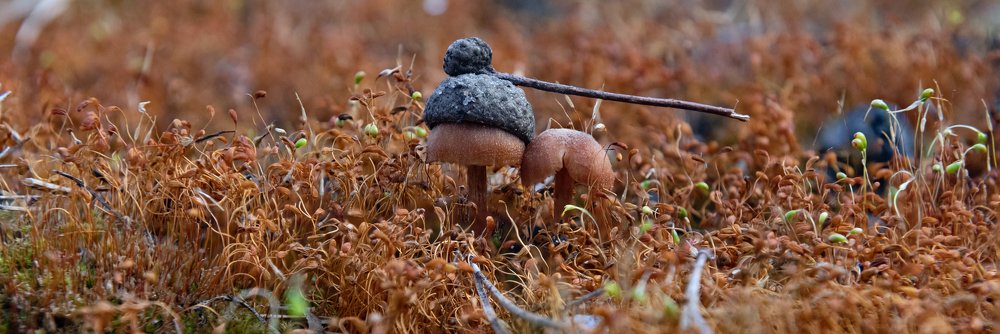 Photograph by Igor Ryzhov