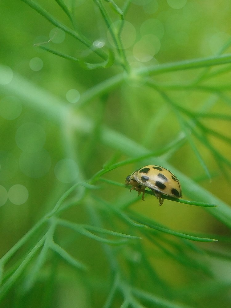 Photograph by Яна Прокофьева
