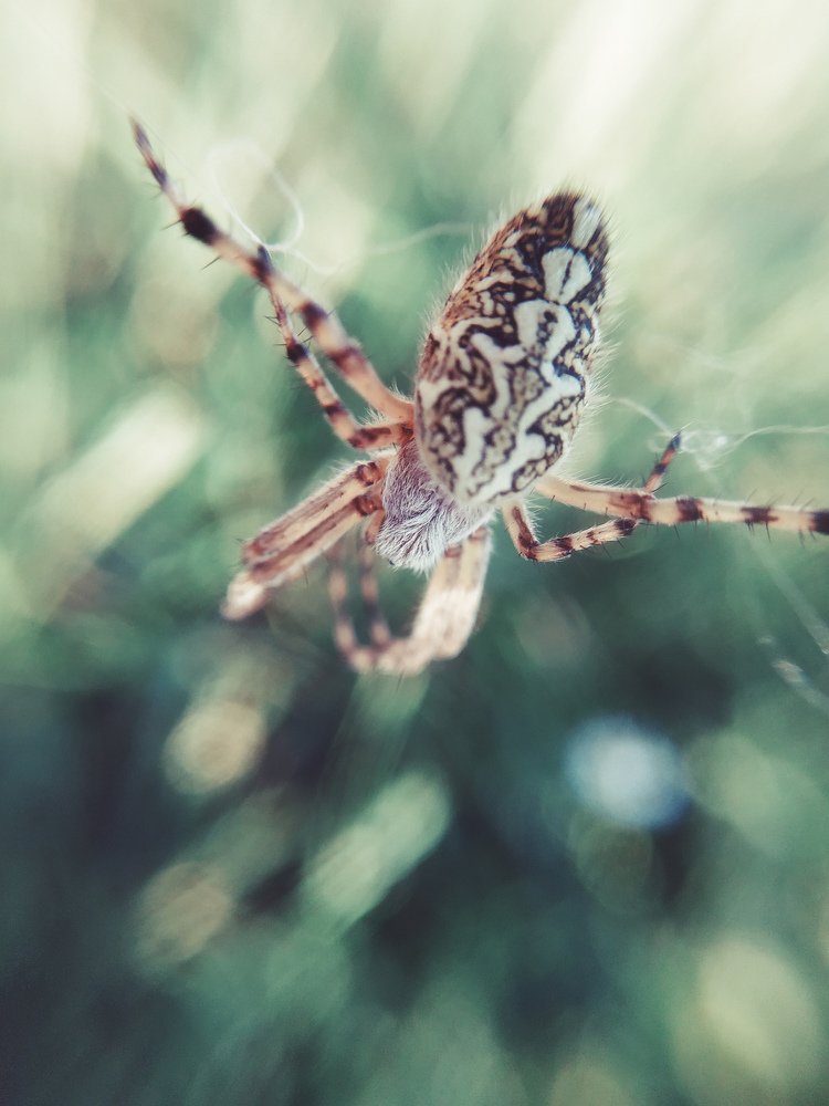 Photograph by Яна Прокофьева