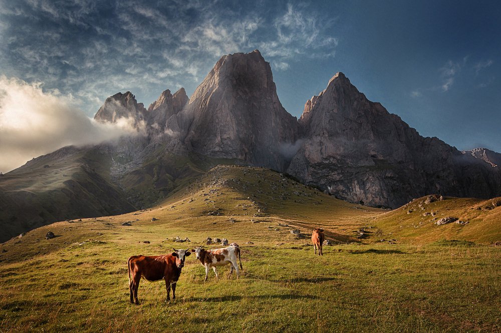 Photograph by Виктория Нарчук