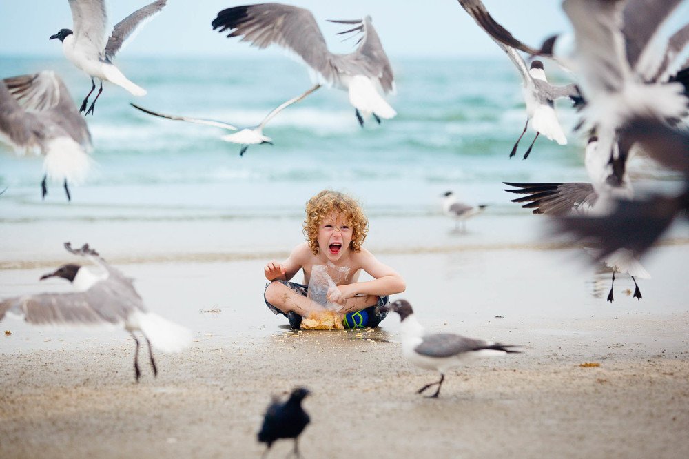 Фотография автора Amalya Shandelman