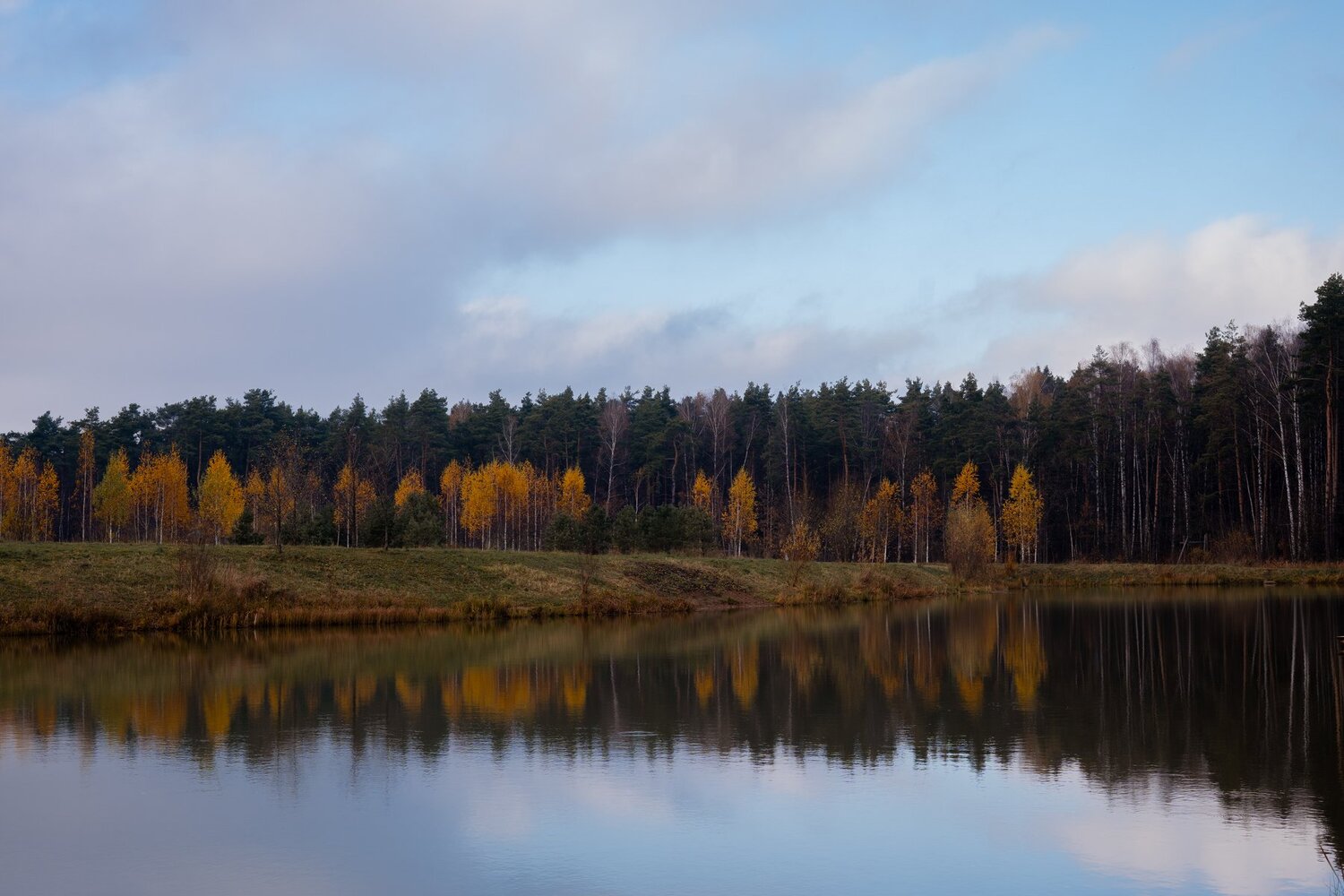 Photo #5179623