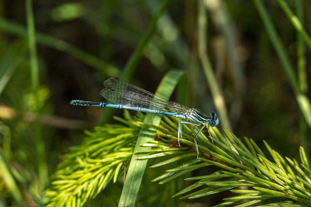 Photograph by Азат Кадиров