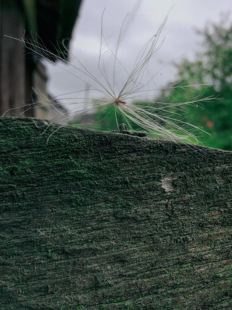 Photograph by Яна Прокофьева