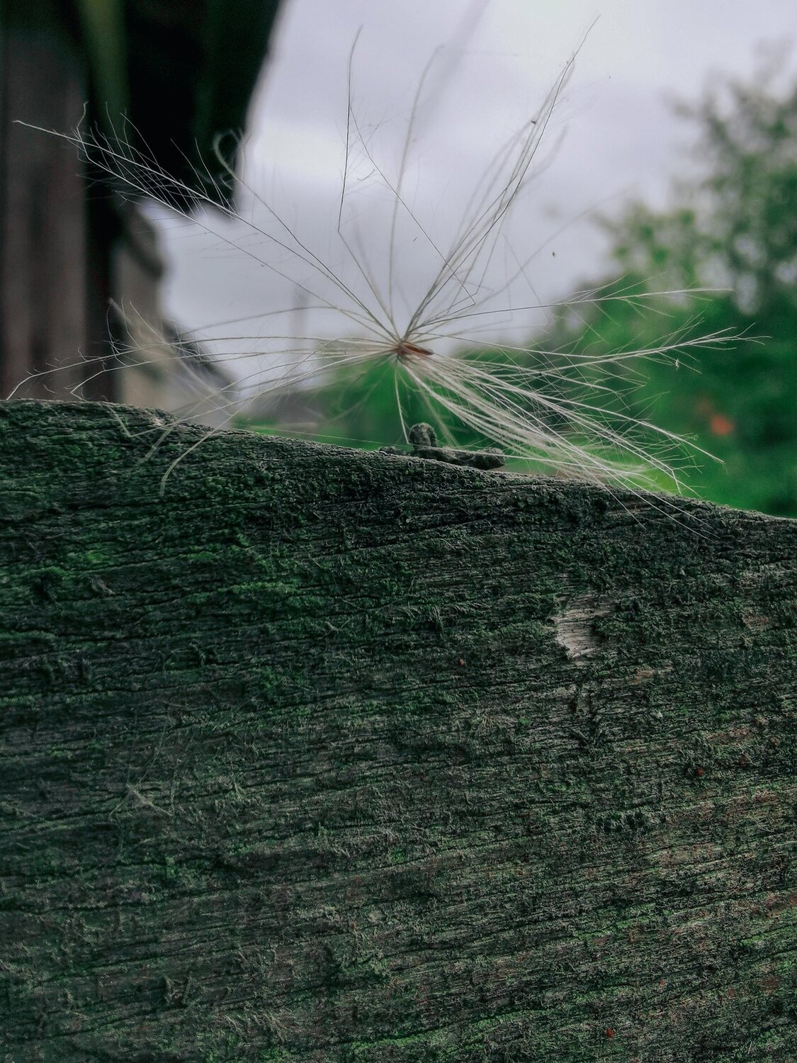 Photo #5179666