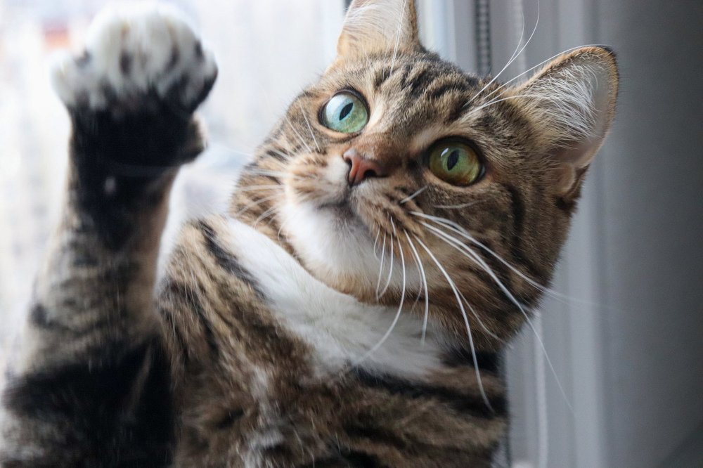 Photograph by Светлана Лебедева