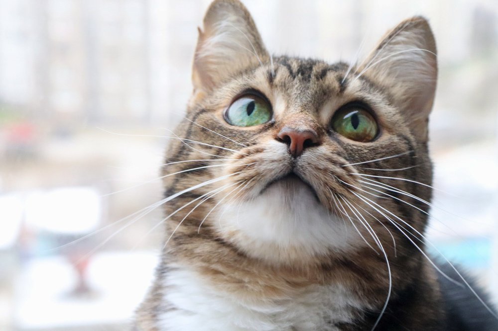 Photograph by Светлана Лебедева