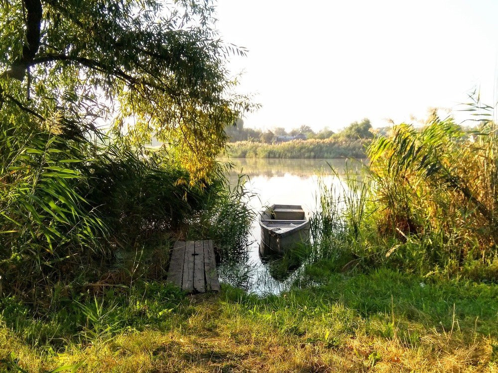 Photograph by Денис Лащ