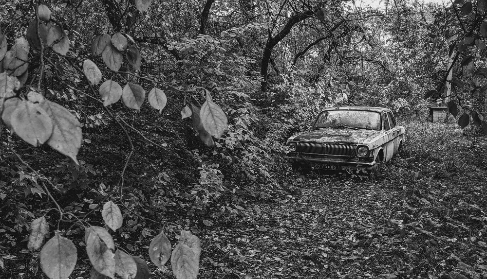 Фотография автора Евгений Даренский